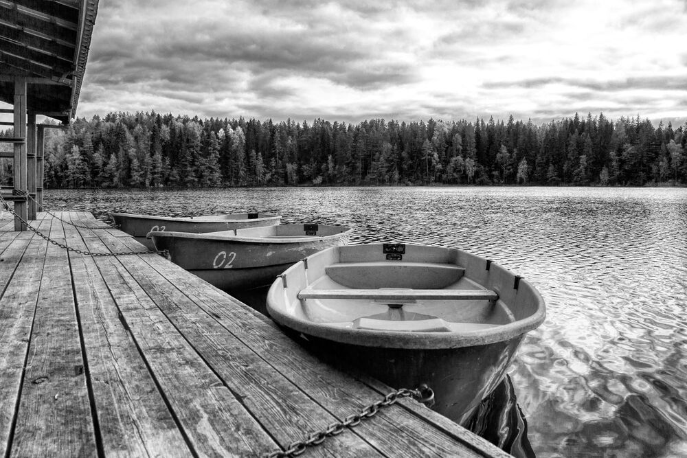 Photo 1169283
