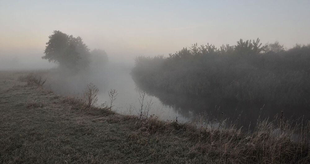 Photo 1169431