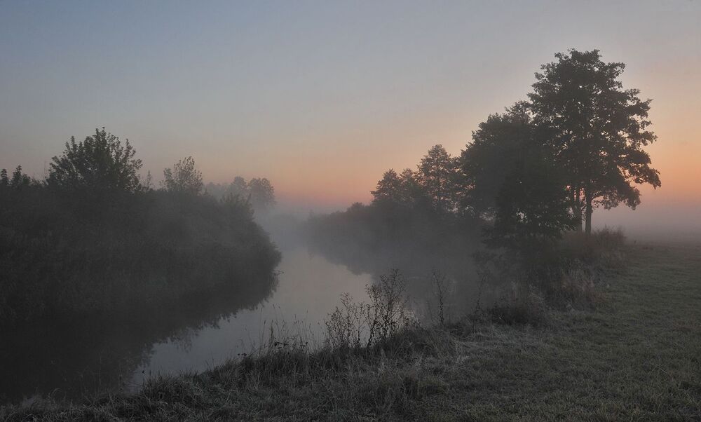 Photo 1169434
