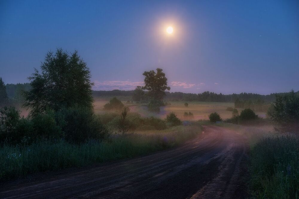 "В лунном свете"