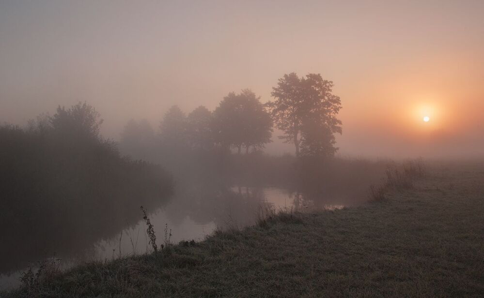 Photo 1169981
