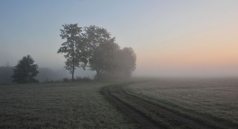 Photo 1169984