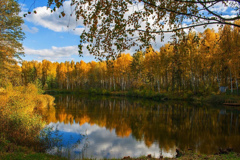 Красавица золотая осень