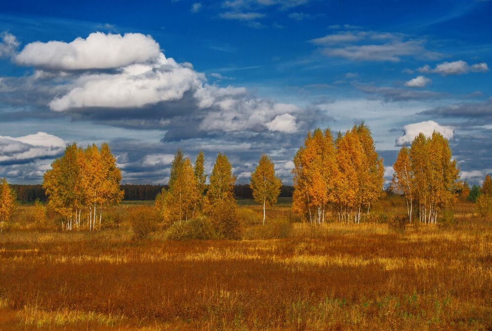 Красавица золотая осень