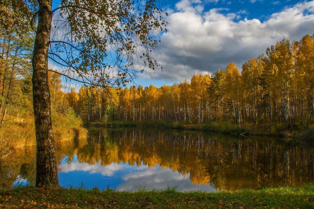 Красавица золотая осень