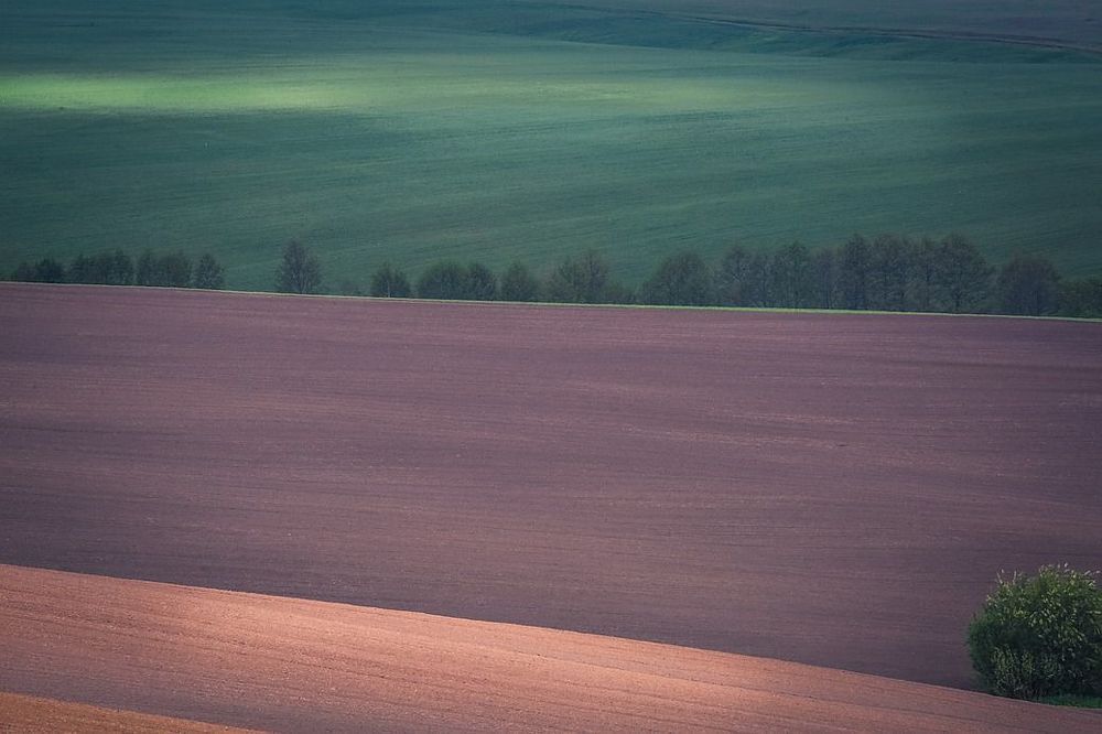 Родные края