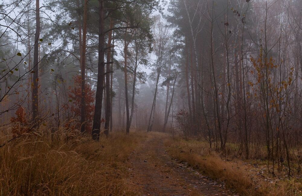 Сырая осень