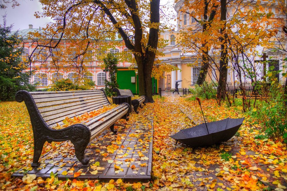 Александро-Невская лавра. Октябрь...