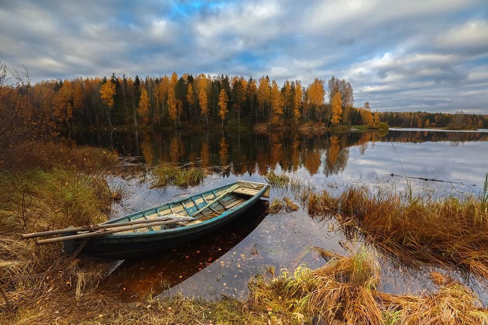 Краски уходящей осени