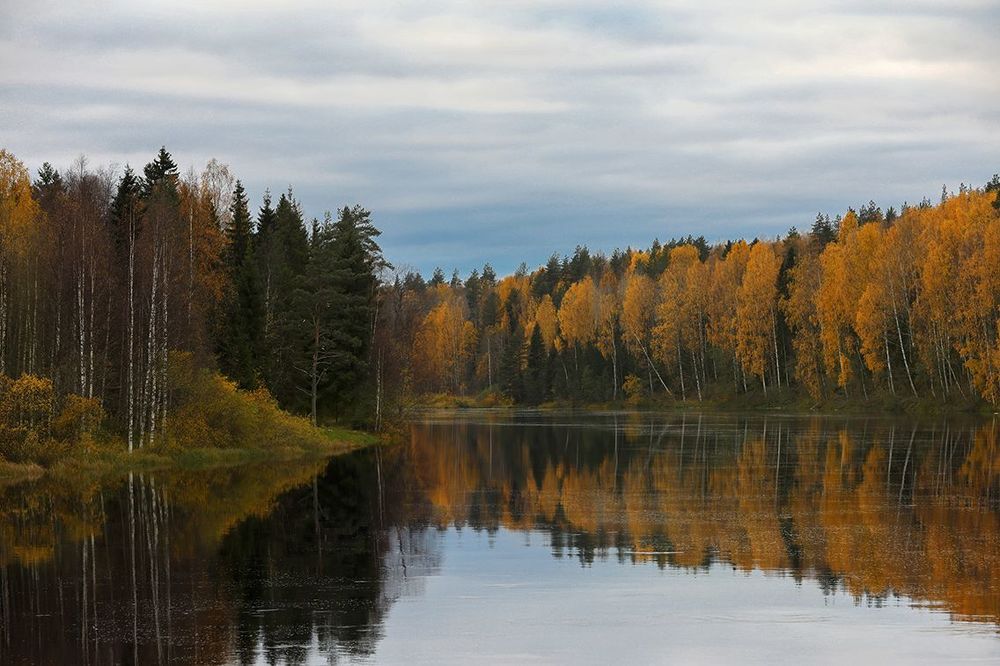 Краски уходящей осени
