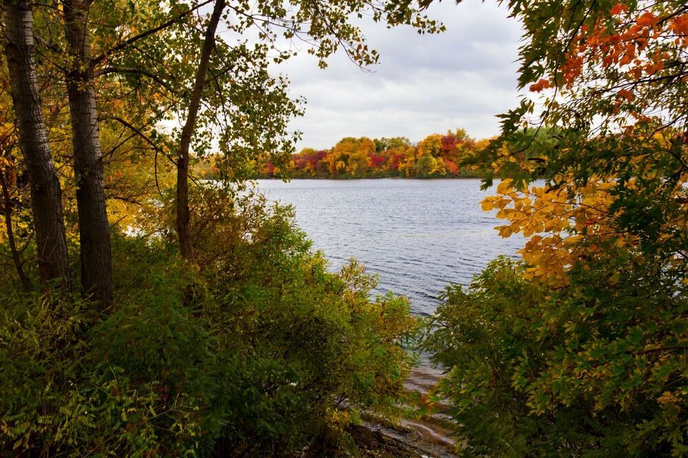 Autumn...