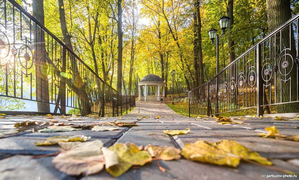 Последняя улыбка лета