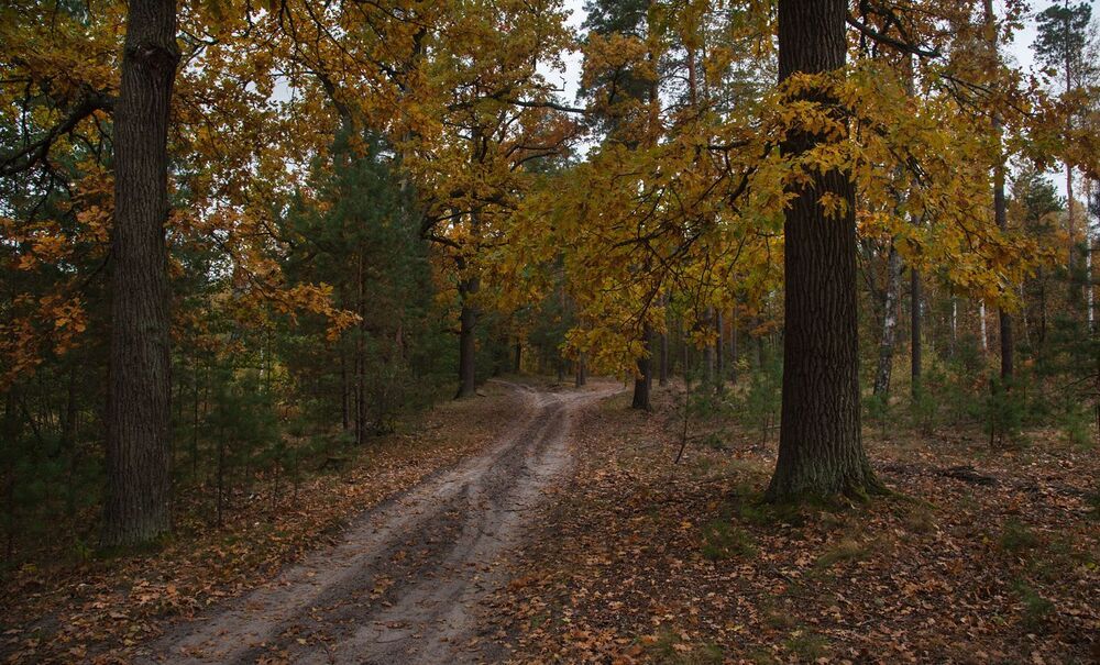 Photo 1172444