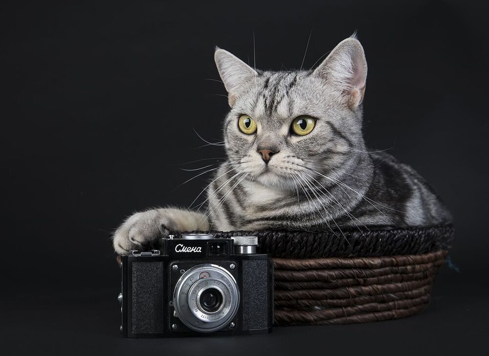 Маркиз - Фотограф