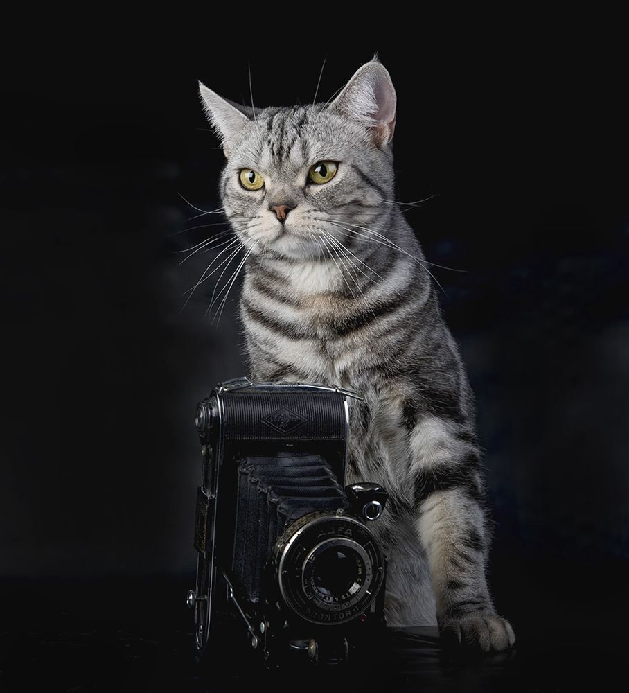 Маркиз - Фотограф