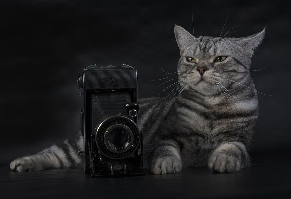 Маркиз - Фотограф
