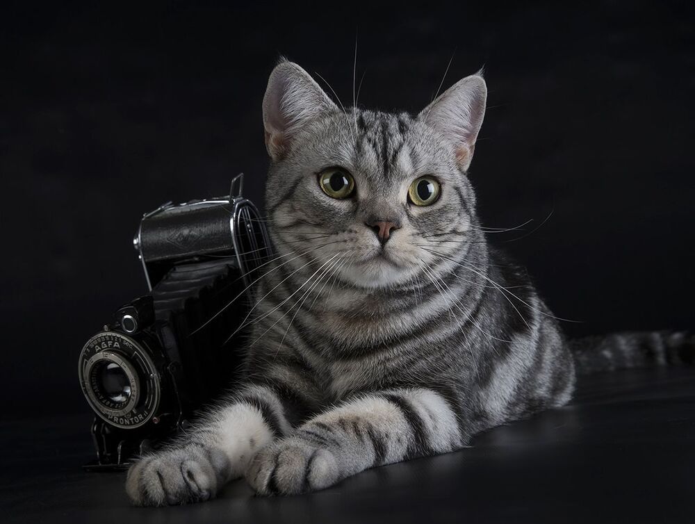 Маркиз - Фотограф