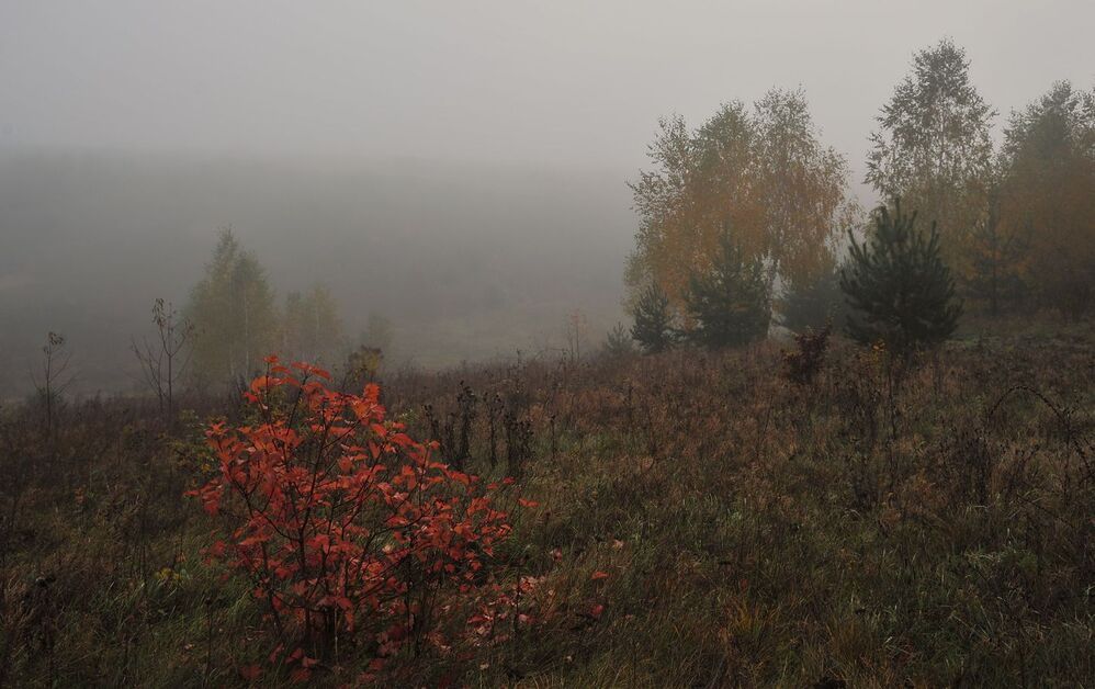 Photo 1172908