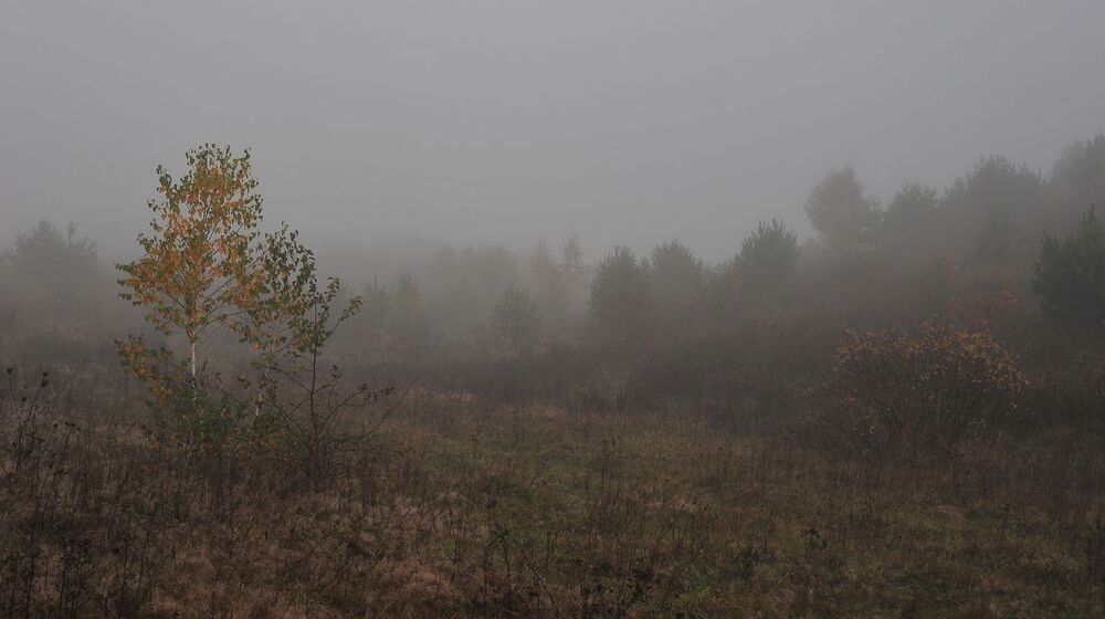 Photo 1172909