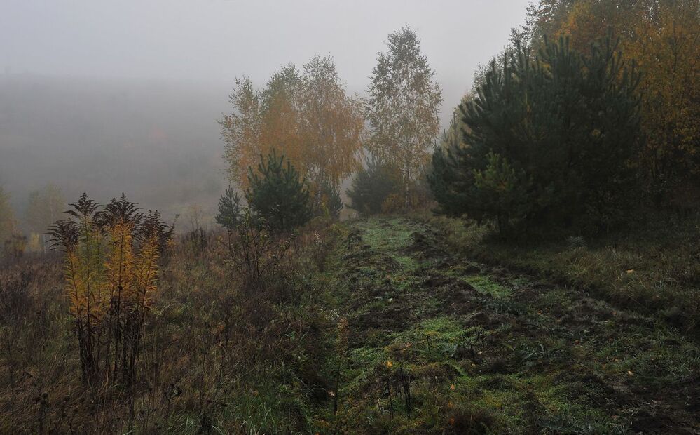 Photo 1172910