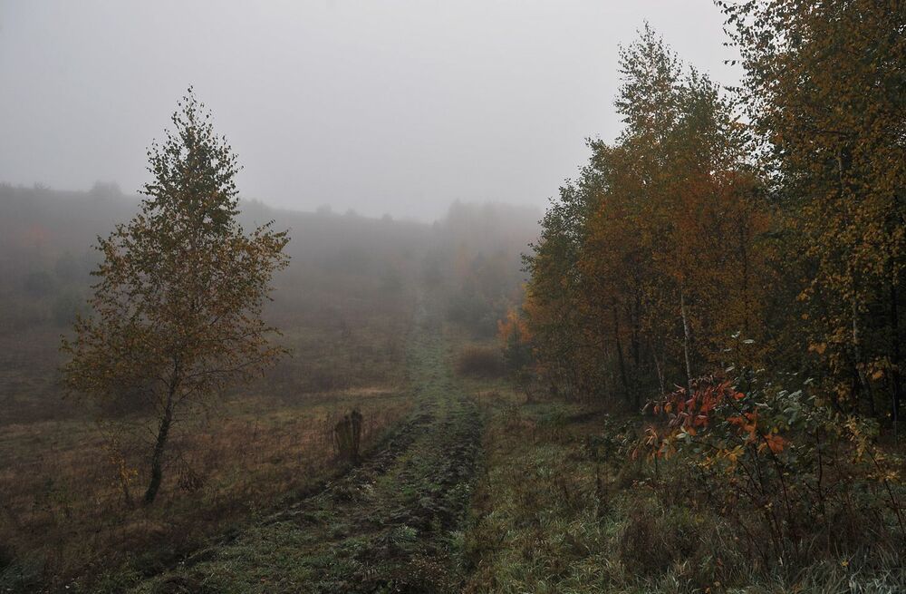 Photo 1172911
