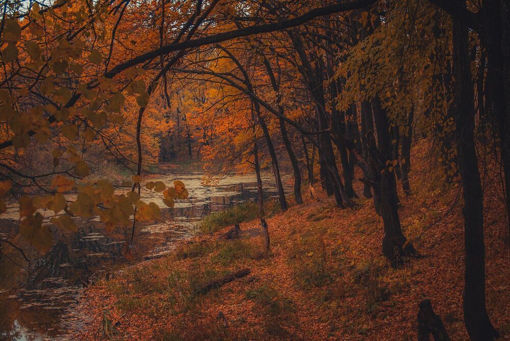 Осенняя меланхолия