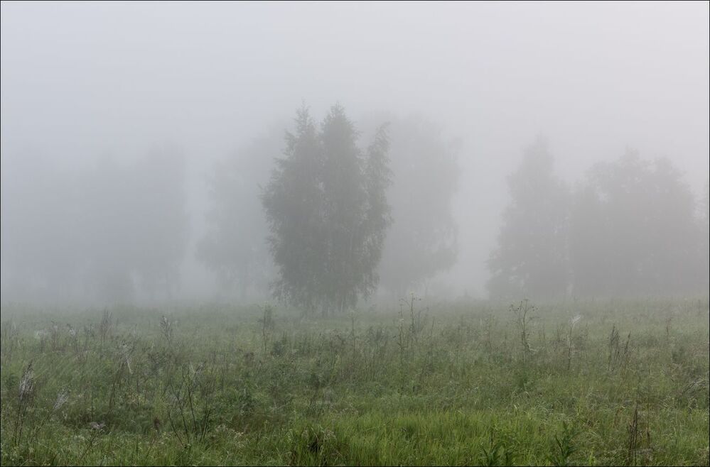 Погружение в утро