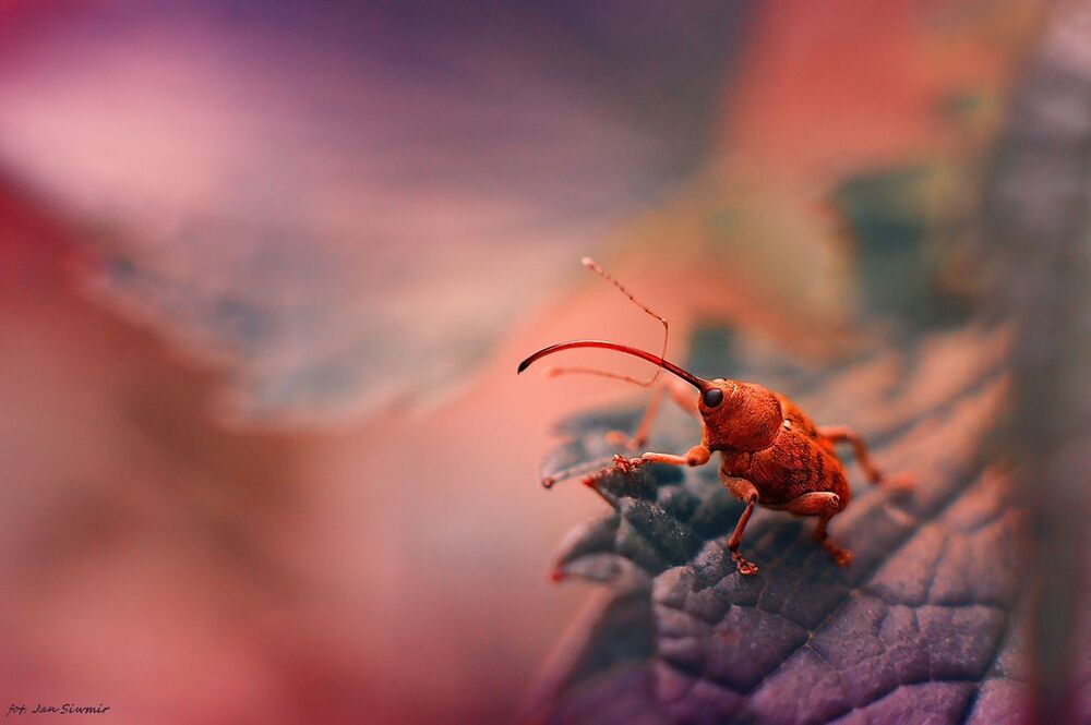 Welcome to my fairy tale.