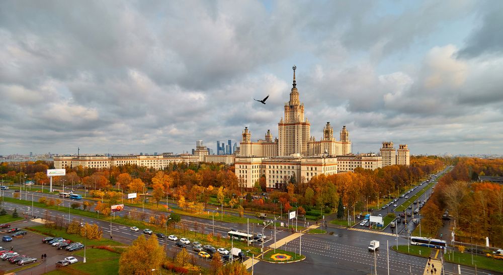 Осень и птицы