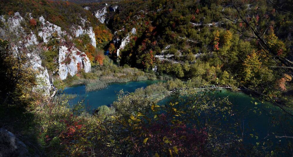 Осень в парке