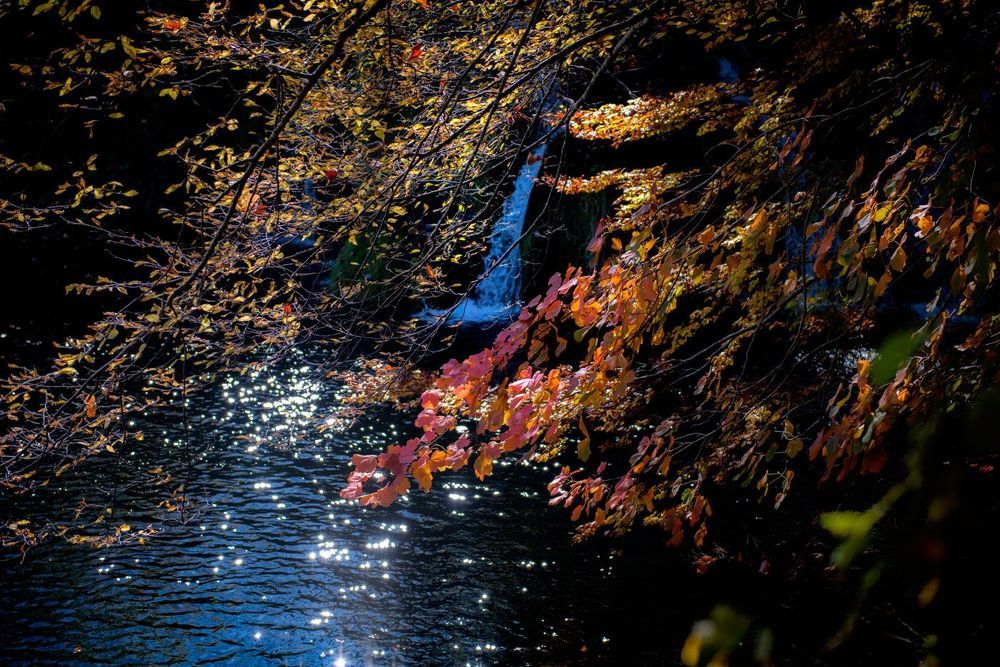 Осень в парке 2