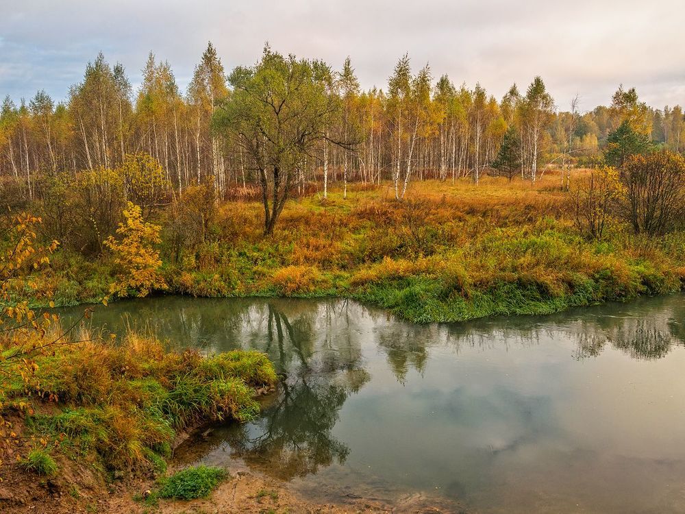 осенние зарисовки