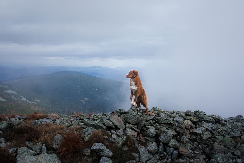 наш поход =)