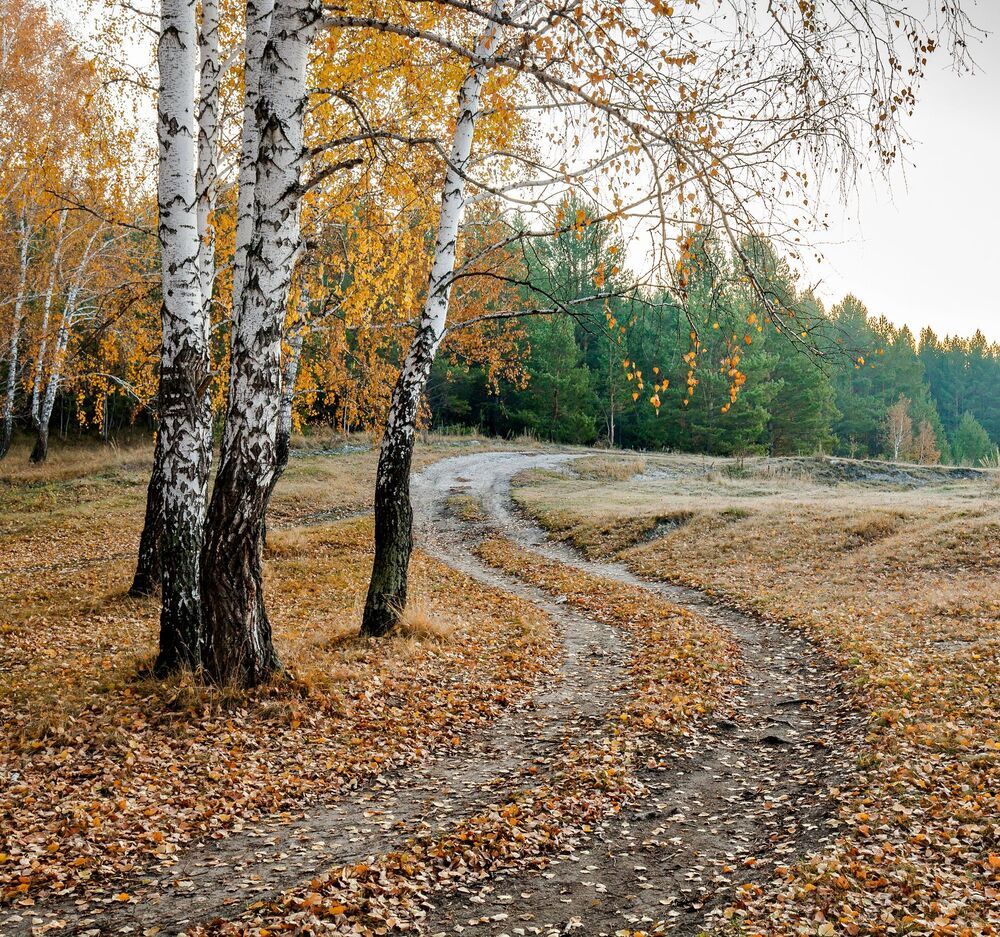 Краски октября