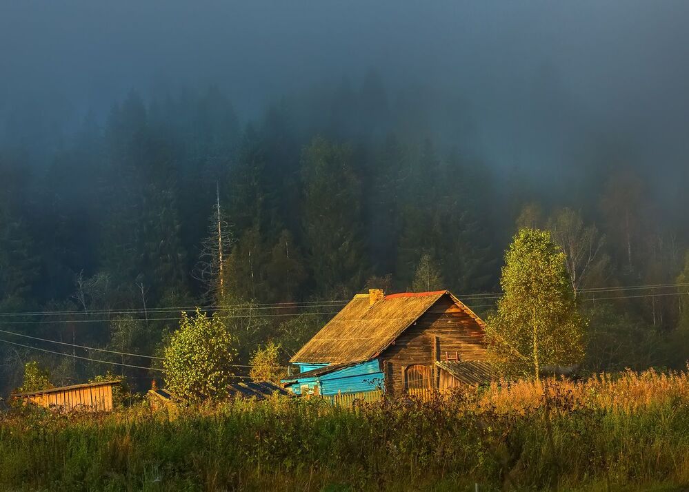 Вепсская деревня Ярославичи.
