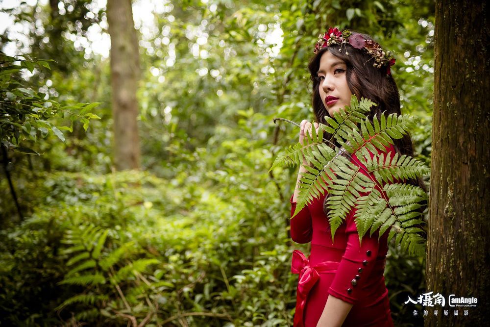 forest