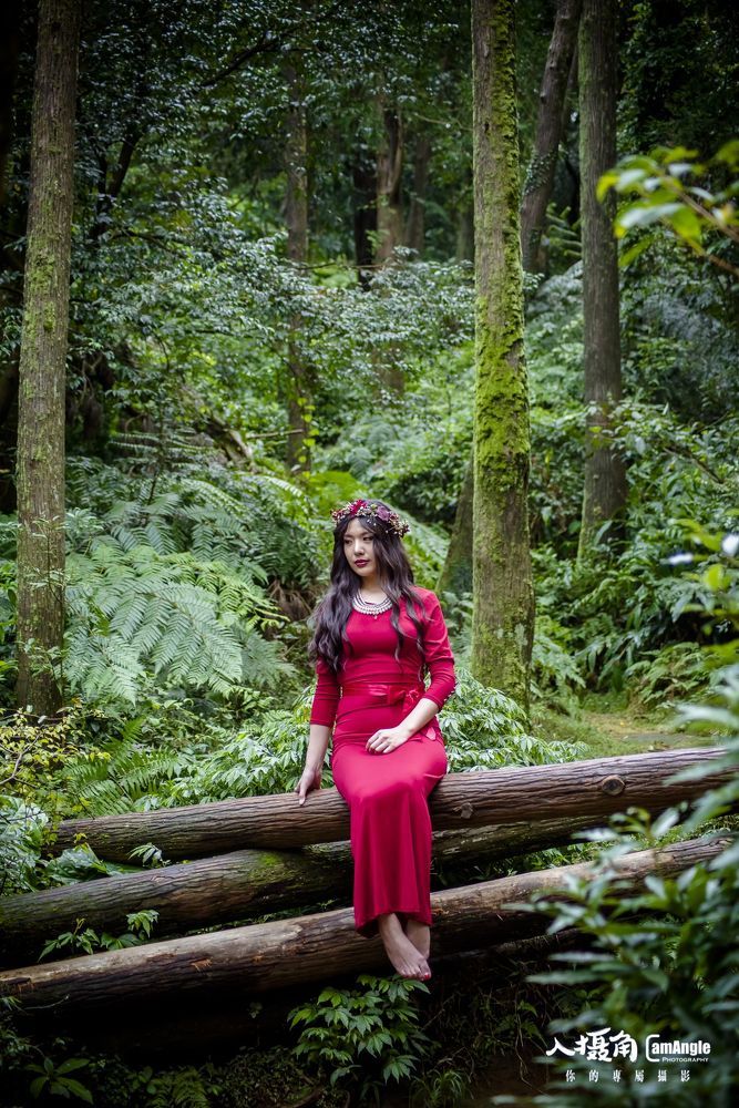 forest