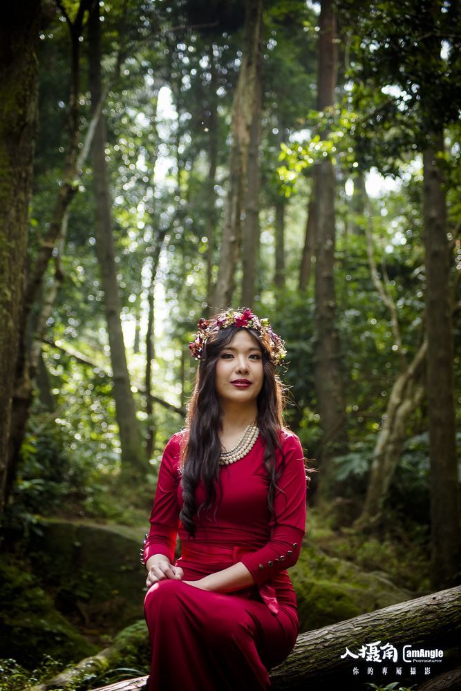 forest