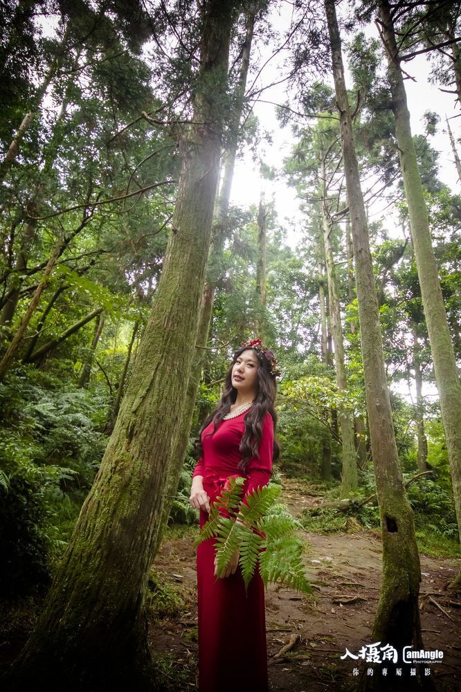 forest
