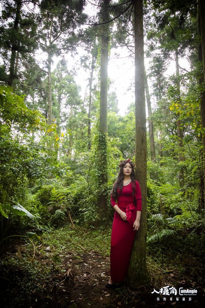 forest
