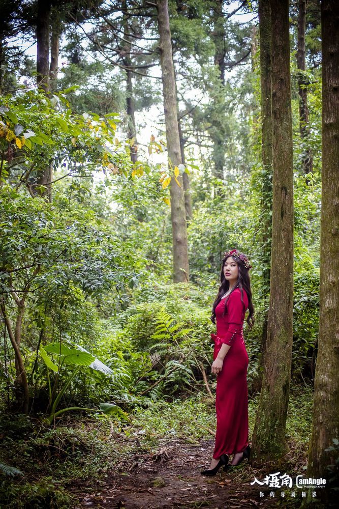 forest