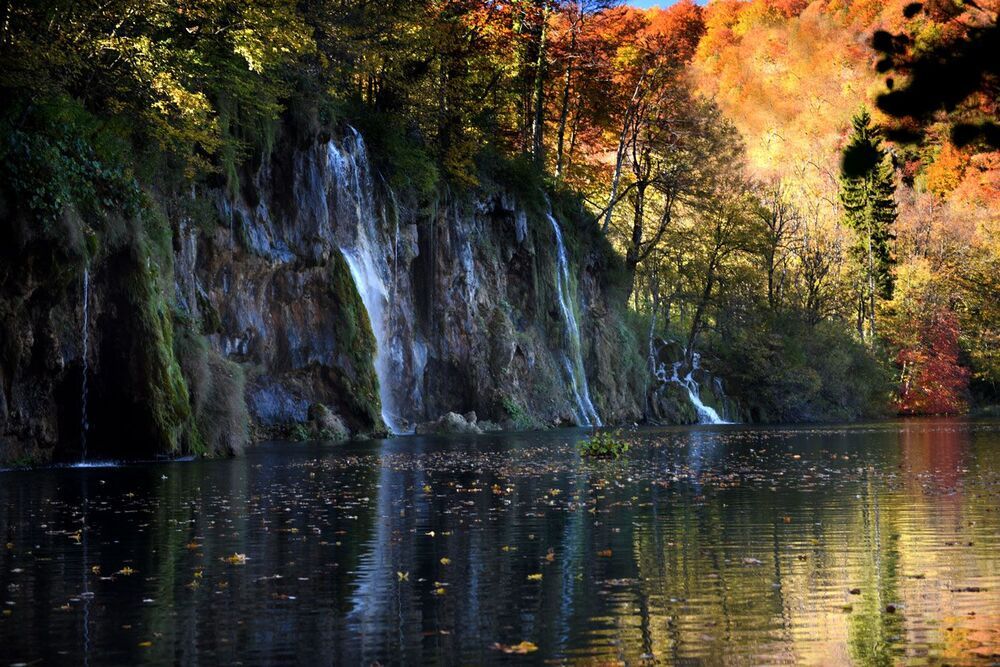 Золотая осень в парке