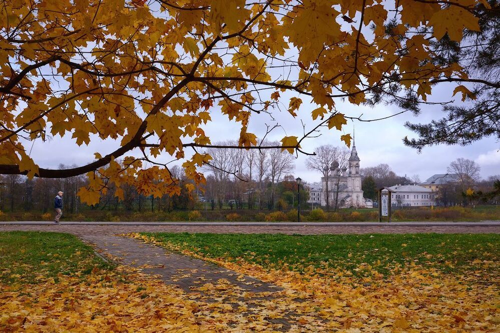 На ковре из желтых листьев