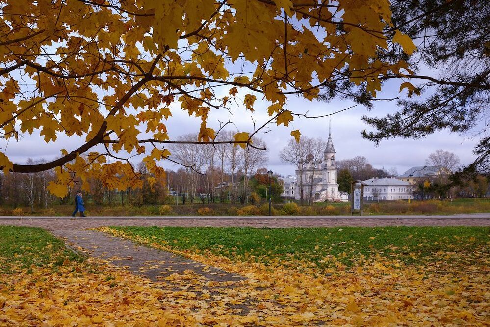 На ковре из желтых листьев