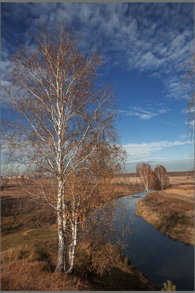 осень золотая