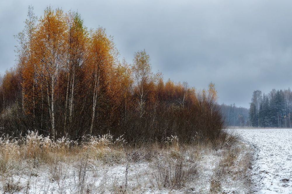 Первый снег