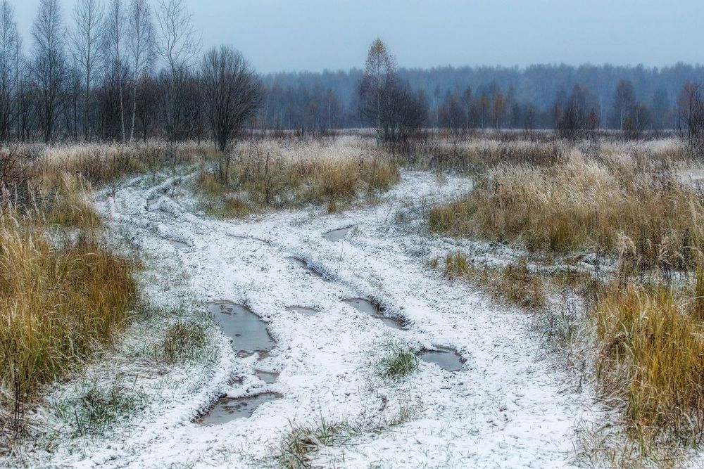 Первый снег