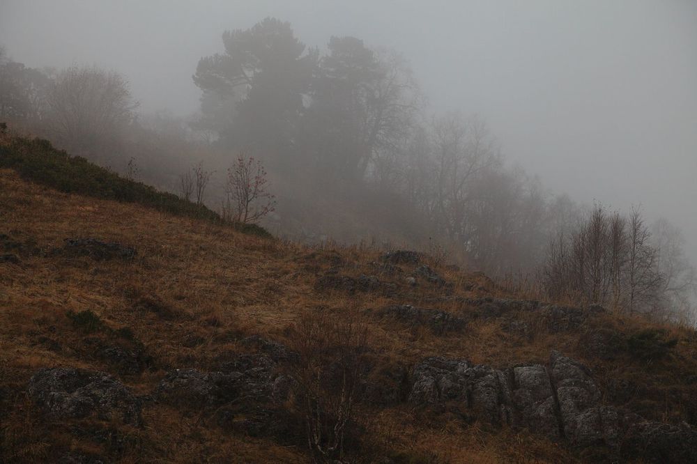 Плато Лаго-Наки