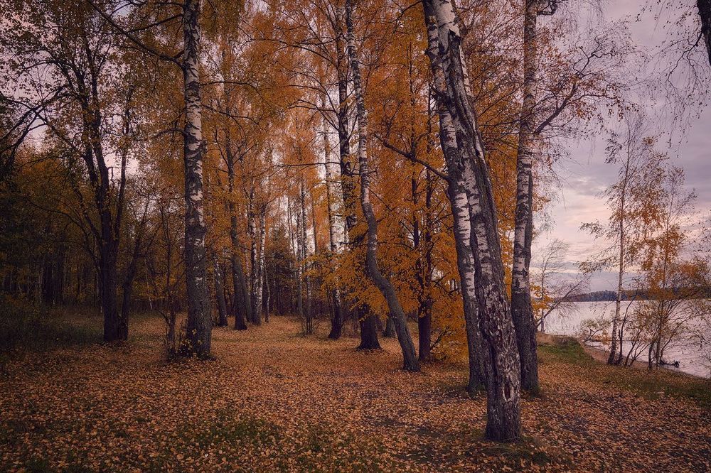 Осеннее настроение