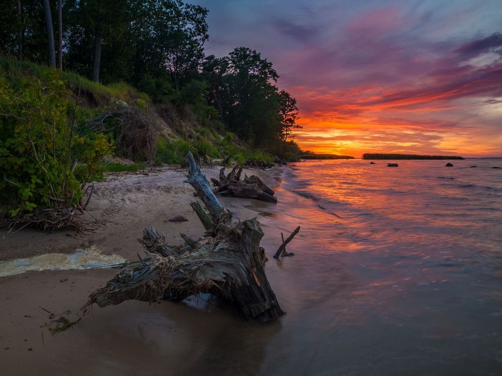 Summer evening over the bay